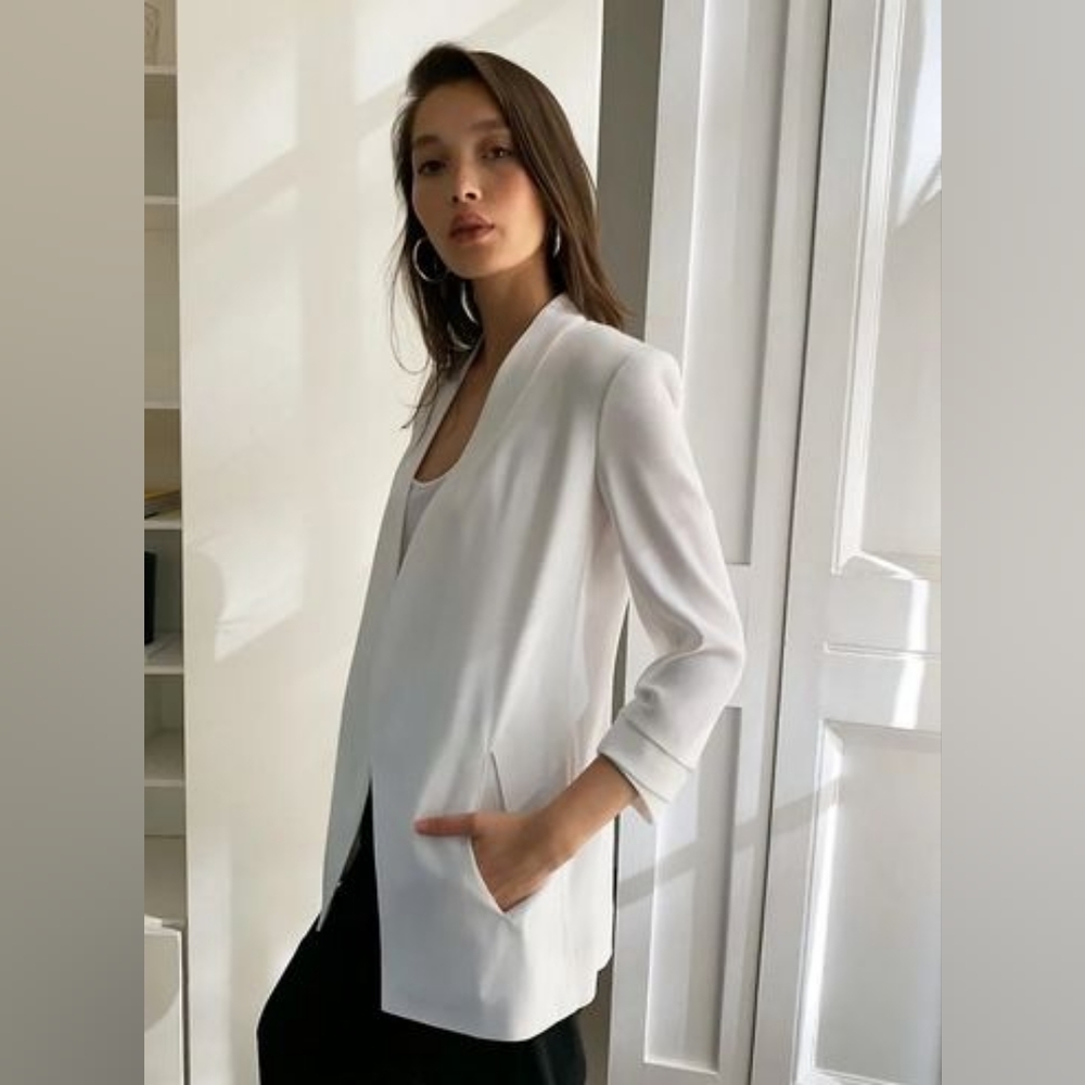 Aritzia Babaton Power Blazer